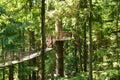 The treetop suspension bridges on Vancouver's North Shore