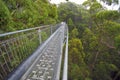 A treetop walk path