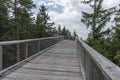 Treetop Walkway lignting, Sightseeing trail in tree crowns