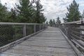 Treetop Walkway lignting, Sightseeing trail in tree crowns