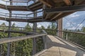 Treetop Walkway lignting, Sightseeing trail in tree crowns