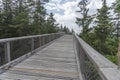 Treetop Walkway lignting, Sightseeing trail in tree crowns