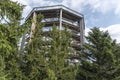 Treetop Walkway lignting, Sightseeing trail in tree crowns