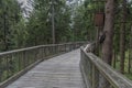 Treetop Walkway lignting, Sightseeing trail in tree crowns