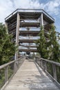 Treetop Walkway lignting, Sightseeing trail in tree crowns