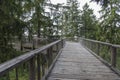 Treetop Walkway lignting, Sightseeing trail in tree crowns