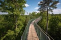 treetop walkway, suspended above a forested canopy