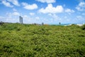 Treetop of World`s Largest Cashew Tree - Pirangi, Rio Grande do Norte, Brazil