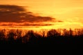 Treetops burning in the sunset in December Royalty Free Stock Photo