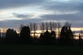 Treetops and church spires at sunset in Hertford, UK