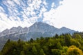 Treetops and mountains