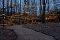 Treetops Ropes and Obstacle Course at Night