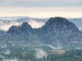 Treetops silhouette of the top of a hills in the fog, feel the silence Royalty Free Stock Photo