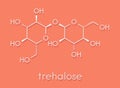 Trehalose mycose, tremalose sugar molecule. Skeletal formula.