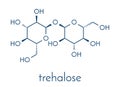 Trehalose mycose, tremalose sugar molecule. Skeletal formula.