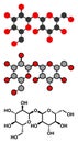 Trehalose (mycose, tremalose) sugar molecule