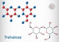 Trehalose, tremalose carbohydrate molecule. Also known as mycose. Is a disaccharide consisting of two molecules of glucose. Sheet