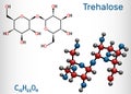 Trehalose, tremalose carbohydrate molecule. Also known as mycose. Is a disaccharide consisting of two molecules of glucose.