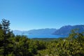 Trek in the Vincente Perez Rosales National Park Royalty Free Stock Photo