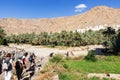 Trek in Wadi Bani Khalid - Oman