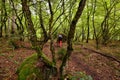 Treking for the Lesser Caucasus