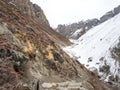 Treking path along with mountain and snow to Thorong Phedi