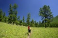 Trekker in Altai Mountains