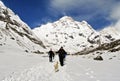 Trekker on Annapurna base camp trail in winter.