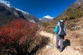 Trekker approaching Renjo La pass on a way to Everest Base camp Royalty Free Stock Photo