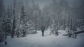 Trekker with a backpack walking through a winter park with trees covered in snow