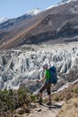 Trekker in front of Manaslu glacier on Manaslu circuit trek in N