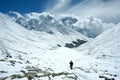 Trekker in the Himalaya Royalty Free Stock Photo