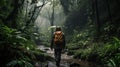 A trekker in the rain forest, in the rain, with difficulty