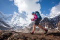 Trekker on the way to Annapurna base camp, Nepal Royalty Free Stock Photo