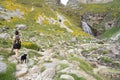 trekker woman and her dog approaching a river waterfall in Ordesa National Park, in the Spanish Pyrenees