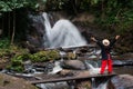 Trekker woman rain forest national park
