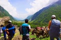 Trekkers with backpacks, looking at the view. Himachal Pradesh