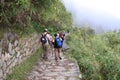 Trekkers on the Inca Trail going to Machu Picchu Royalty Free Stock Photo