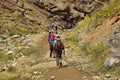 Group of trekker trekking in Alborz mountains , Iran