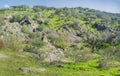 Trekkers resting beside Cornalvo Natural Park track, Extremadura, Spain