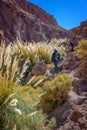 Trekkers walking along Puritama river, Atacama desert Chile Royalty Free Stock Photo