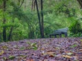 Trekkin tour in Monteverde