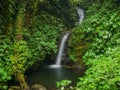 Trekkin tour in Monteverde