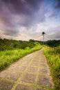 Trekking at Campuhan Ridge