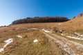 Footpath and Beech Forest on Lessinia High Plateau - Veneto Italy Royalty Free Stock Photo