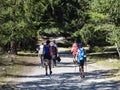 Trekking group in the alps