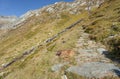 Trekking in the Italian Alps; it`s autumn with no people around Royalty Free Stock Photo