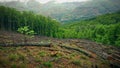 Trekking in the Jerte Valley Royalty Free Stock Photo