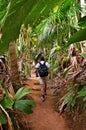 Trekking in jungle, Seychelles, Valle de Mai Royalty Free Stock Photo