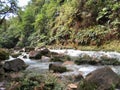 Trekking through the jungle. The turquoise waters of Rio Celese.